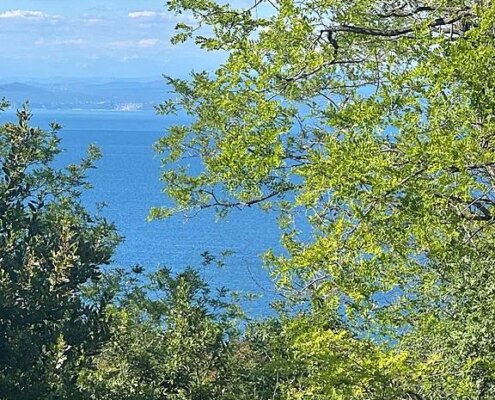 Building Plot with Sea View, Beli Križ, Portorož