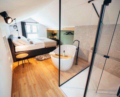 Investicijska nepremičnina s 4 apartmaji in bazenom v bližini Sežane